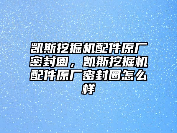 凱斯挖掘機(jī)配件原廠密封圈，凱斯挖掘機(jī)配件原廠密封圈怎么樣