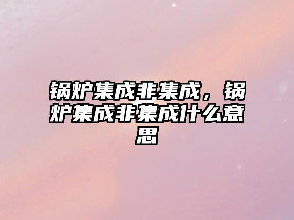 鍋爐集成非集成，鍋爐集成非集成什么意思