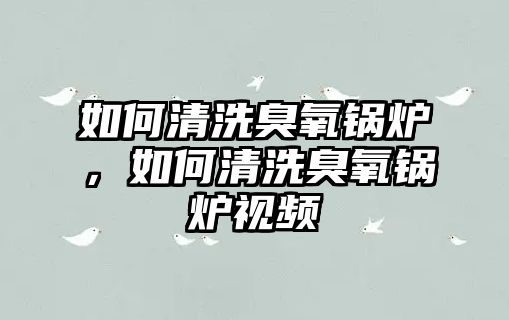 如何清洗臭氧鍋爐，如何清洗臭氧鍋爐視頻