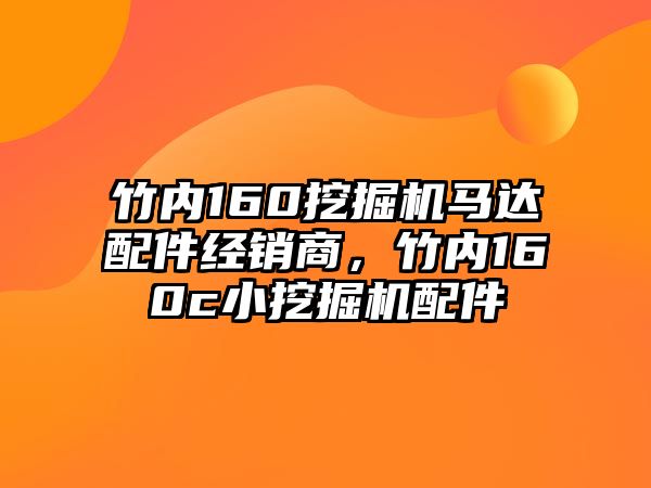 竹內(nèi)160挖掘機馬達配件經(jīng)銷商，竹內(nèi)160c小挖掘機配件