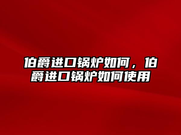 伯爵進(jìn)口鍋爐如何，伯爵進(jìn)口鍋爐如何使用