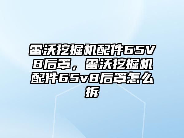 雷沃挖掘機配件65V8后罩，雷沃挖掘機配件65v8后罩怎么拆