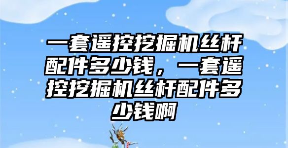 一套遙控挖掘機絲桿配件多少錢，一套遙控挖掘機絲桿配件多少錢啊