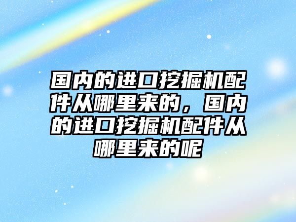 國內(nèi)的進口挖掘機配件從哪里來的，國內(nèi)的進口挖掘機配件從哪里來的呢