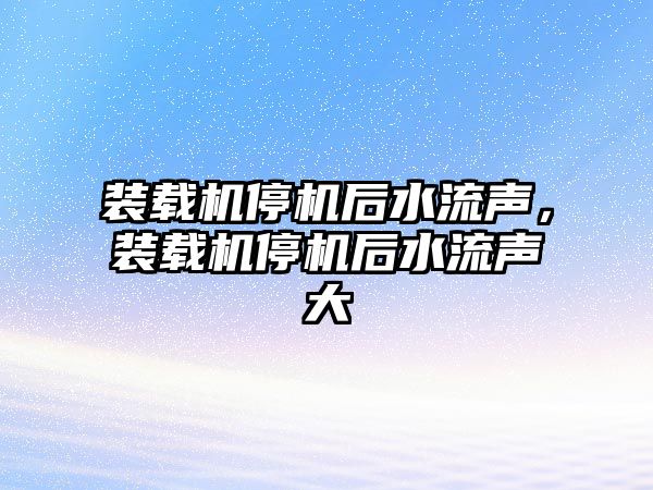 裝載機停機后水流聲，裝載機停機后水流聲大