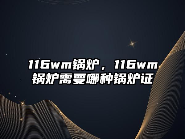 116wm鍋爐，116wm鍋爐需要哪種鍋爐證