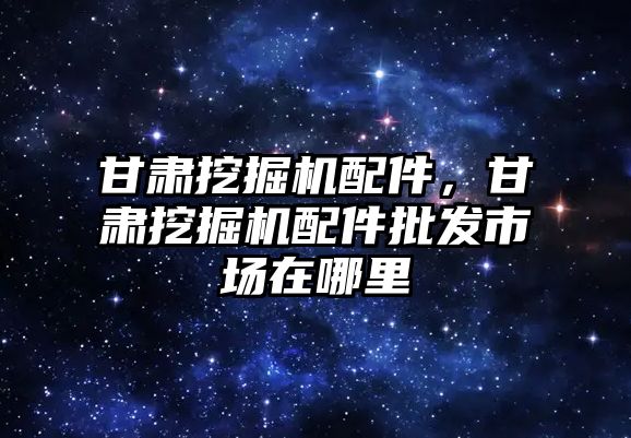 甘肅挖掘機配件，甘肅挖掘機配件批發(fā)市場在哪里