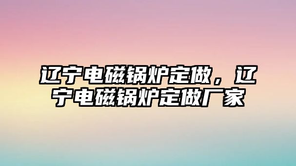 遼寧電磁鍋爐定做，遼寧電磁鍋爐定做廠家