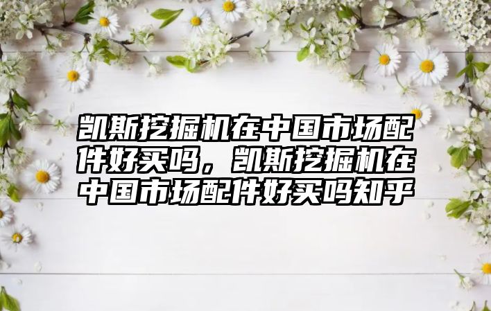 凱斯挖掘機在中國市場配件好買嗎，凱斯挖掘機在中國市場配件好買嗎知乎