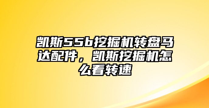 凱斯55b挖掘機(jī)轉(zhuǎn)盤(pán)馬達(dá)配件，凱斯挖掘機(jī)怎么看轉(zhuǎn)速