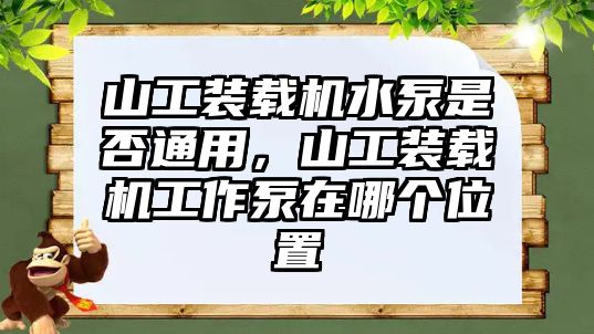 山工裝載機水泵是否通用，山工裝載機工作泵在哪個位置