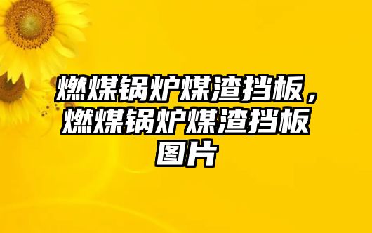 燃煤鍋爐煤渣擋板，燃煤鍋爐煤渣擋板圖片