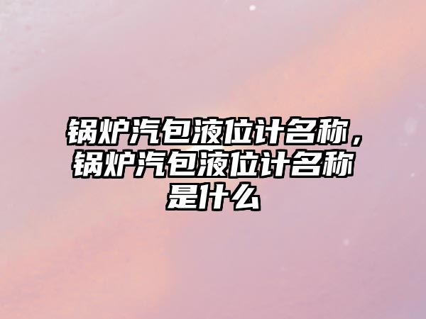 鍋爐汽包液位計名稱，鍋爐汽包液位計名稱是什么