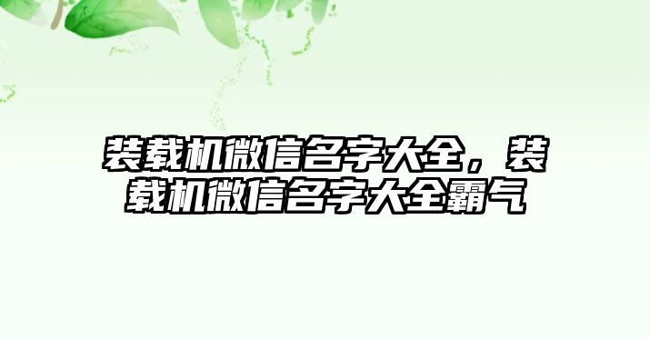 裝載機微信名字大全，裝載機微信名字大全霸氣