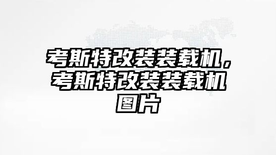 考斯特改裝裝載機，考斯特改裝裝載機圖片