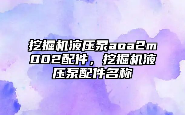 挖掘機液壓泵aoa2m002配件，挖掘機液壓泵配件名稱