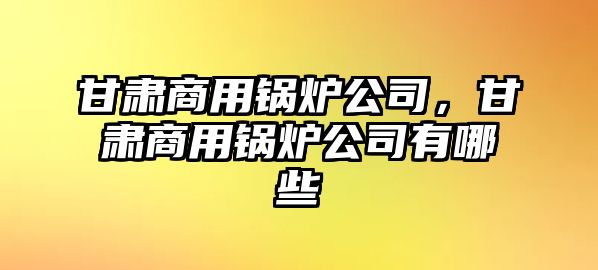 甘肅商用鍋爐公司，甘肅商用鍋爐公司有哪些