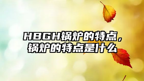 HBGH鍋爐的特點(diǎn)，鍋爐的特點(diǎn)是什么