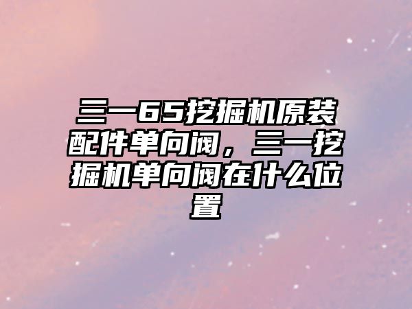 三一65挖掘機(jī)原裝配件單向閥，三一挖掘機(jī)單向閥在什么位置