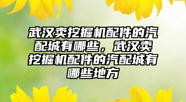 武漢賣挖掘機配件的汽配城有哪些，武漢賣挖掘機配件的汽配城有哪些地方