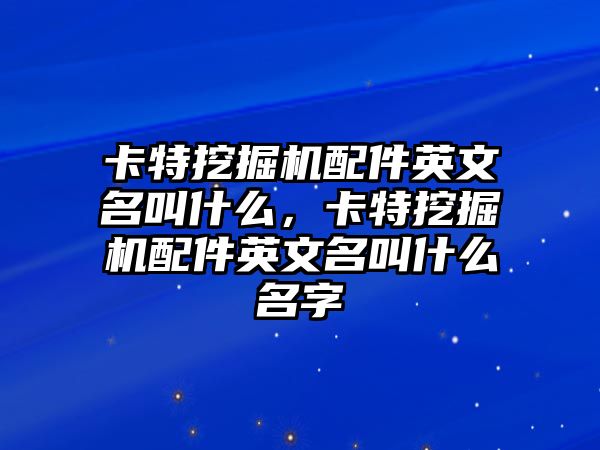 卡特挖掘機(jī)配件英文名叫什么，卡特挖掘機(jī)配件英文名叫什么名字