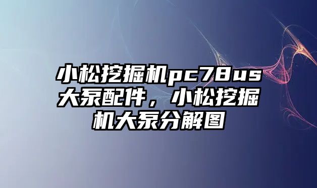 小松挖掘機pc78us大泵配件，小松挖掘機大泵分解圖