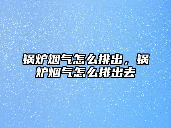 鍋爐煙氣怎么排出，鍋爐煙氣怎么排出去