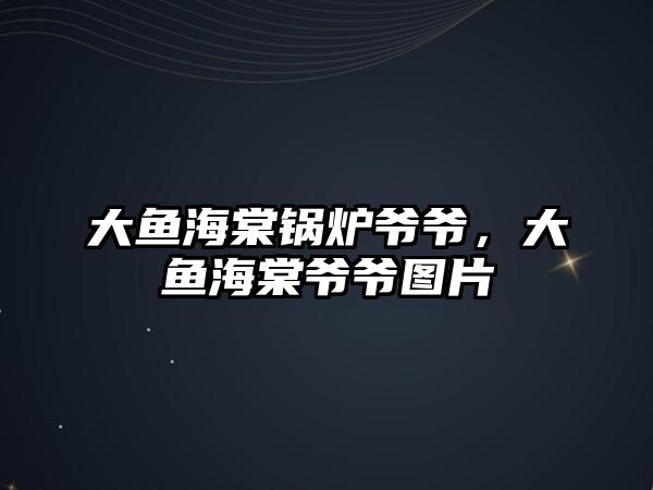 大魚(yú)海棠鍋爐爺爺，大魚(yú)海棠爺爺圖片