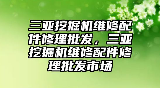 三亞挖掘機(jī)維修配件修理批發(fā)，三亞挖掘機(jī)維修配件修理批發(fā)市場(chǎng)