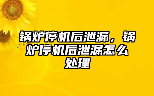 鍋爐停機后泄漏，鍋爐停機后泄漏怎么處理