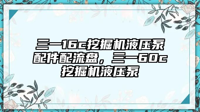 三一16c挖掘機(jī)液壓泵配件配流盤，三一60c挖掘機(jī)液壓泵