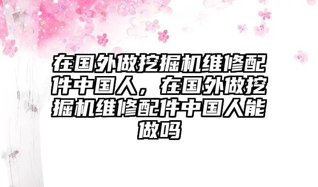 在國外做挖掘機維修配件中國人，在國外做挖掘機維修配件中國人能做嗎