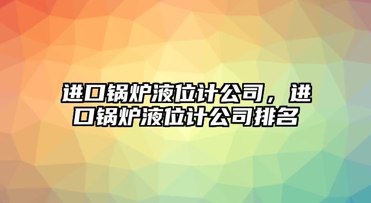 進(jìn)口鍋爐液位計(jì)公司，進(jìn)口鍋爐液位計(jì)公司排名