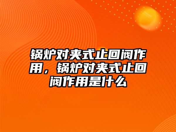 鍋爐對(duì)夾式止回閥作用，鍋爐對(duì)夾式止回閥作用是什么