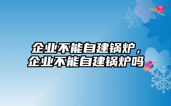 企業(yè)不能自建鍋爐，企業(yè)不能自建鍋爐嗎