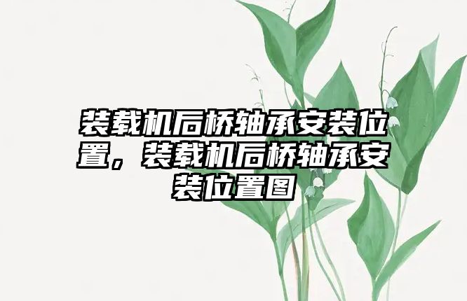 裝載機(jī)后橋軸承安裝位置，裝載機(jī)后橋軸承安裝位置圖