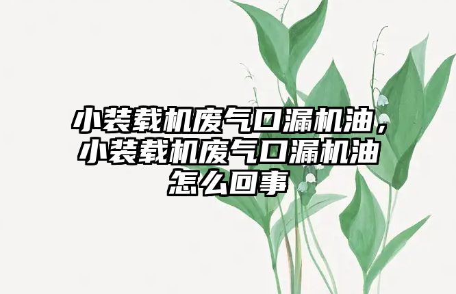 小裝載機廢氣口漏機油，小裝載機廢氣口漏機油怎么回事