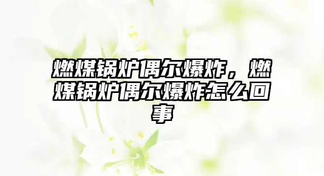 燃煤鍋爐偶爾爆炸，燃煤鍋爐偶爾爆炸怎么回事