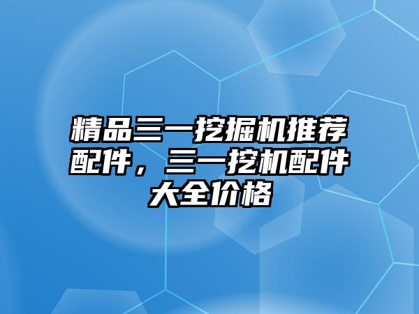 精品三一挖掘機(jī)推薦配件，三一挖機(jī)配件大全價格