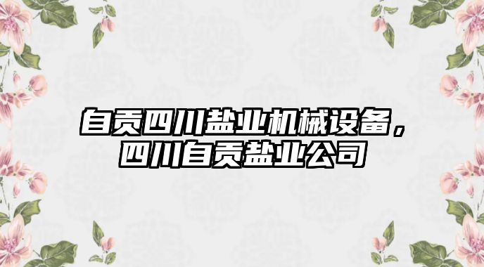 自貢四川鹽業(yè)機(jī)械設(shè)備，四川自貢鹽業(yè)公司