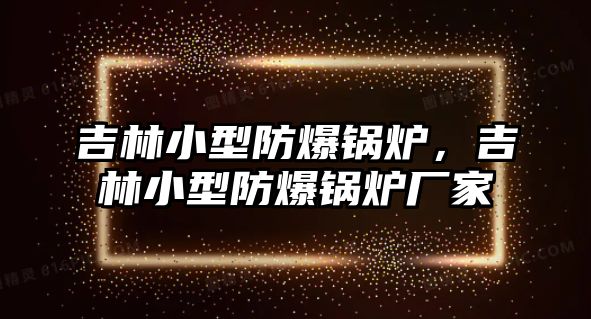 吉林小型防爆鍋爐，吉林小型防爆鍋爐廠家