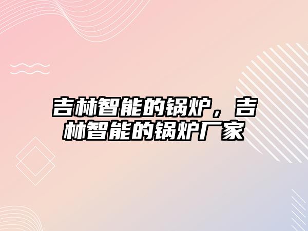 吉林智能的鍋爐，吉林智能的鍋爐廠家