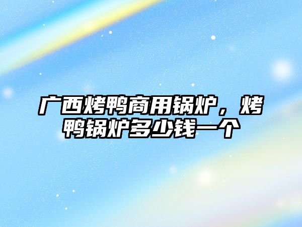 廣西烤鴨商用鍋爐，烤鴨鍋爐多少錢一個(gè)