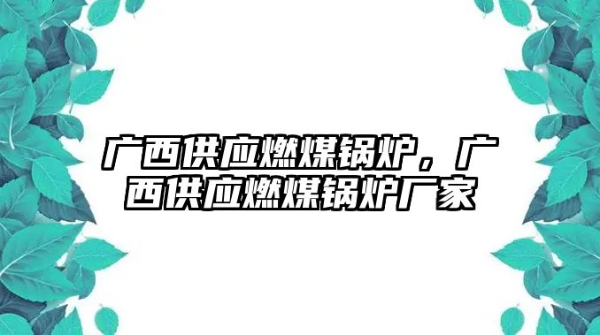 廣西供應燃煤鍋爐，廣西供應燃煤鍋爐廠家