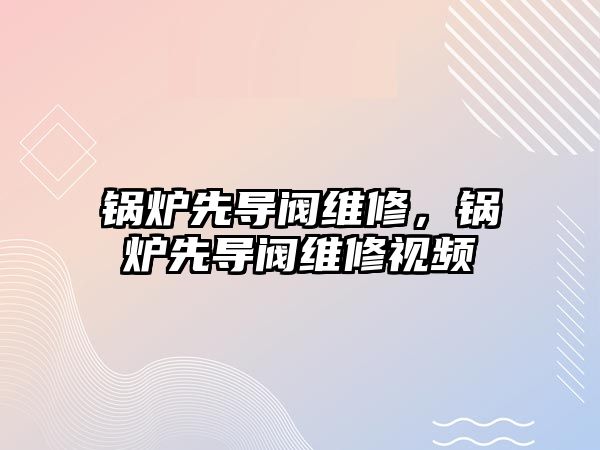 鍋爐先導(dǎo)閥維修，鍋爐先導(dǎo)閥維修視頻