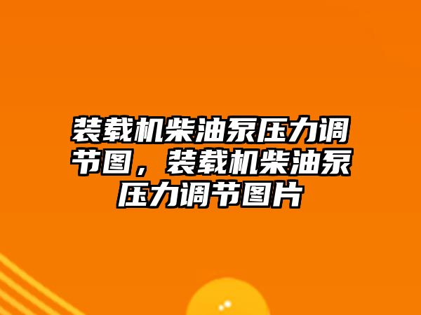 裝載機柴油泵壓力調(diào)節(jié)圖，裝載機柴油泵壓力調(diào)節(jié)圖片