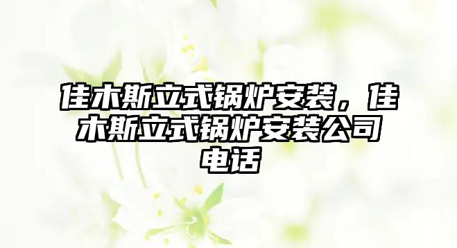 佳木斯立式鍋爐安裝，佳木斯立式鍋爐安裝公司電話