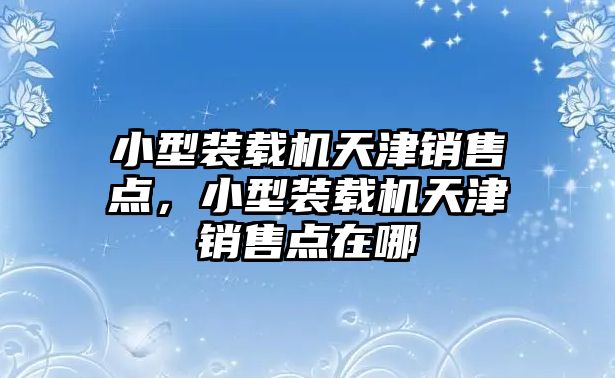 小型裝載機(jī)天津銷售點(diǎn)，小型裝載機(jī)天津銷售點(diǎn)在哪