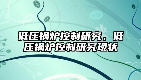 低壓鍋爐控制研究，低壓鍋爐控制研究現(xiàn)狀