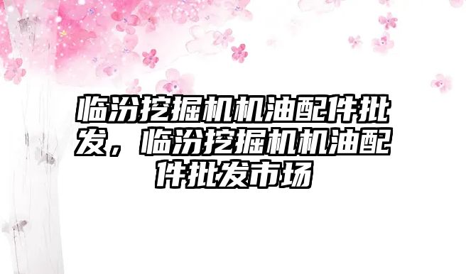 臨汾挖掘機機油配件批發(fā)，臨汾挖掘機機油配件批發(fā)市場